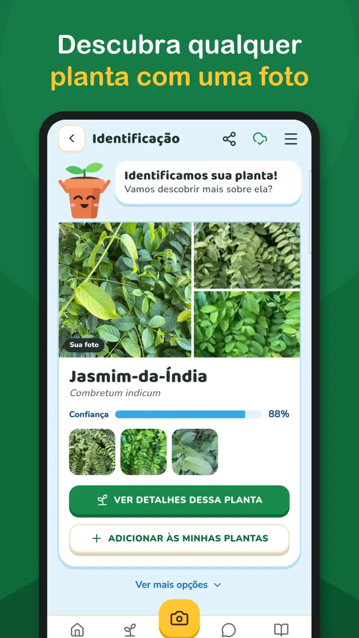 Descubra qualquer planta com uma foto
